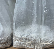 Load image into Gallery viewer, 5 Pound All In One Bags - Bulk Quantities Available (2 Bag Minimum Order)