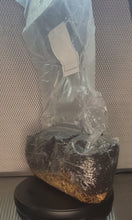 Load and play video in Gallery viewer, Low Ratio 4 Pound AIO Mushroom Grow Bags + Casing Layer Included!