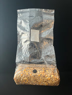 Sweet Wheat Berry - Whole Corn 50-50 Blend- 4 Pounds - Bulk Quantities Available (3 Bag Min Order)