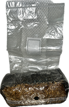Load image into Gallery viewer, 3 Pound All In One Mushroom Grow Bags!
