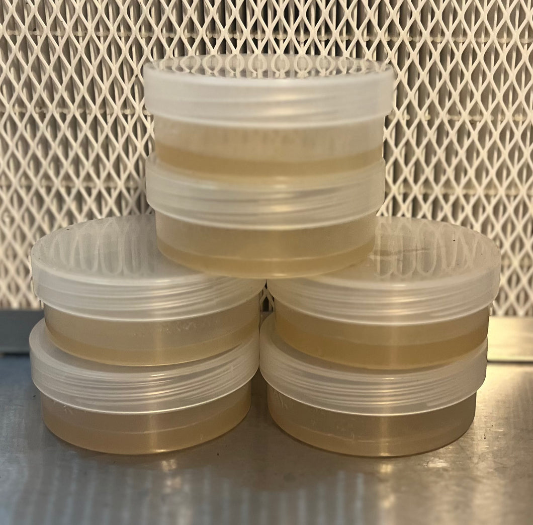 Light Malt Extract (LME) Agar Plates – 63 mm