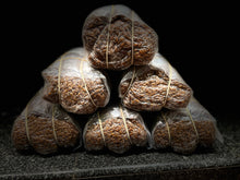 Load image into Gallery viewer, Rye Berry Sterilized Hydrated Grain Bags
